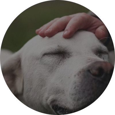 Healing / 몸과 마음, 삶의 질까지 회복 케어